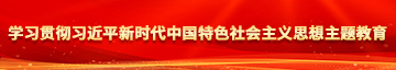 美女性感艹逼网站学习贯彻习近平新时代中国特色社会主义思想主题教育